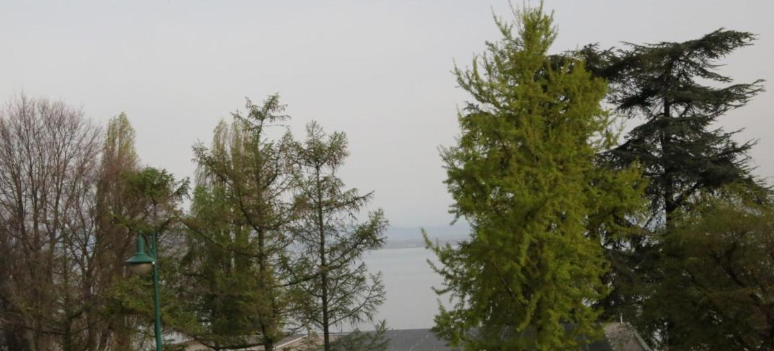 Magnifique T3 Face Au Lac Evian-les-Bains Bagian luar foto